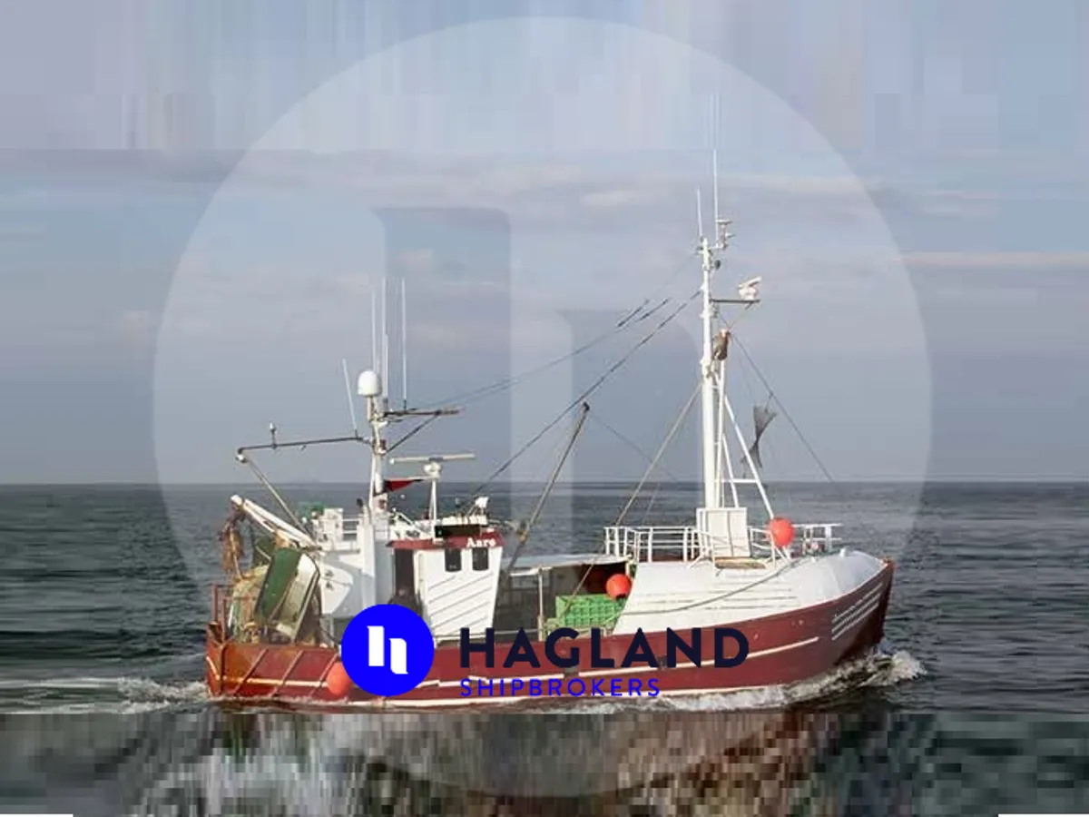 Trasportatore di pesce vivo in vendita