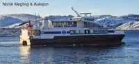 Nave Ro-Ro in vendita