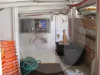 Trasportatore di pesce vivo in vendita