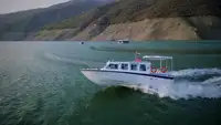 Nave da crociera in vendita