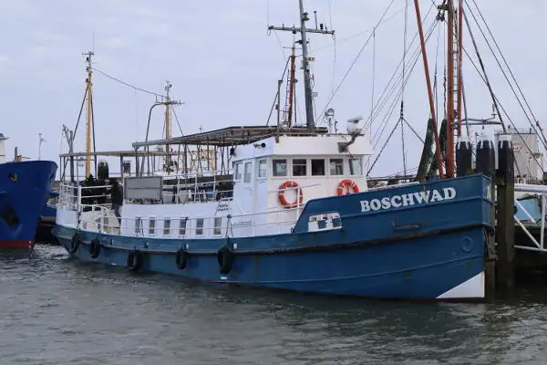 Chiatta in vendita
