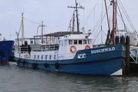 Chiatta in vendita