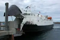 Trasportatore di merci sfuse in vendita
