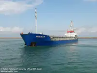 Trasportatore di merci sfuse in vendita