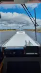 Trasportatore di merci sfuse in vendita