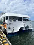Catamarano in vendita