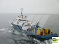 Barche da lavoro in vendita