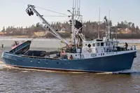 Purse seiner in vendita