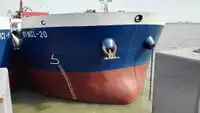 Trasportatore di merci sfuse in vendita