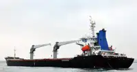 Portarinfuse in vendita