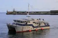 Nave da rilevamento in vendita