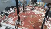 Rimorchiatore in vendita