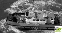 Nave di servizio per parchi eolici in vendita