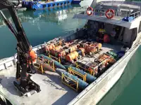 Barche da lavoro in vendita
