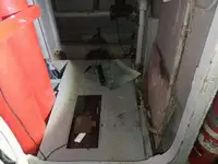Nave da crociera in vendita