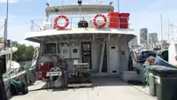 Barche da lavoro in vendita