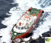 Nave di servizio per parchi eolici in vendita