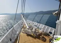 Nave da crociera in vendita