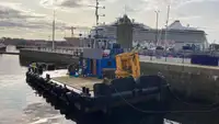 Portacontainer in vendita