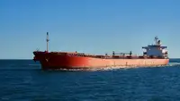 Portarinfuse in vendita
