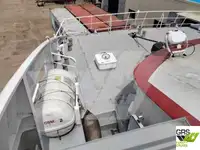 Nave da crociera in vendita