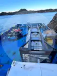 Portarinfuse in vendita