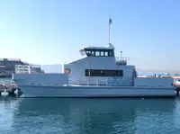 Catamarano in vendita