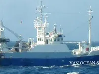 Peschereccio a strascico in vendita
