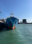 Nave reefer in vendita