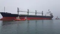 Rimorchiatore in vendita