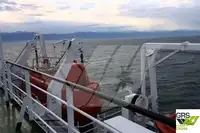 Nave Ro-Ro in vendita