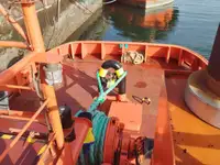 Rimorchiatore in vendita