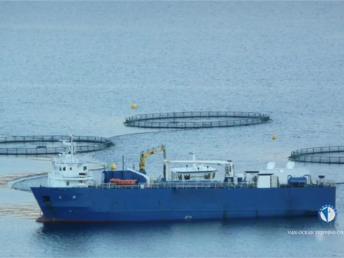 Nave refrigerata in vendita