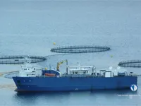 Nave refrigerata in vendita