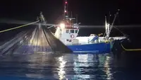 Peschereccio a strascico in vendita