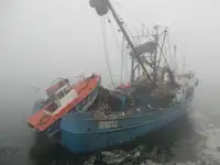 Peschereccio a circuizione in vendita