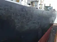 Nave Ro-Ro in vendita