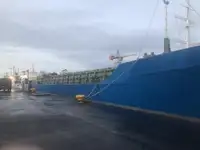 Trasportatore di merci sfuse in vendita
