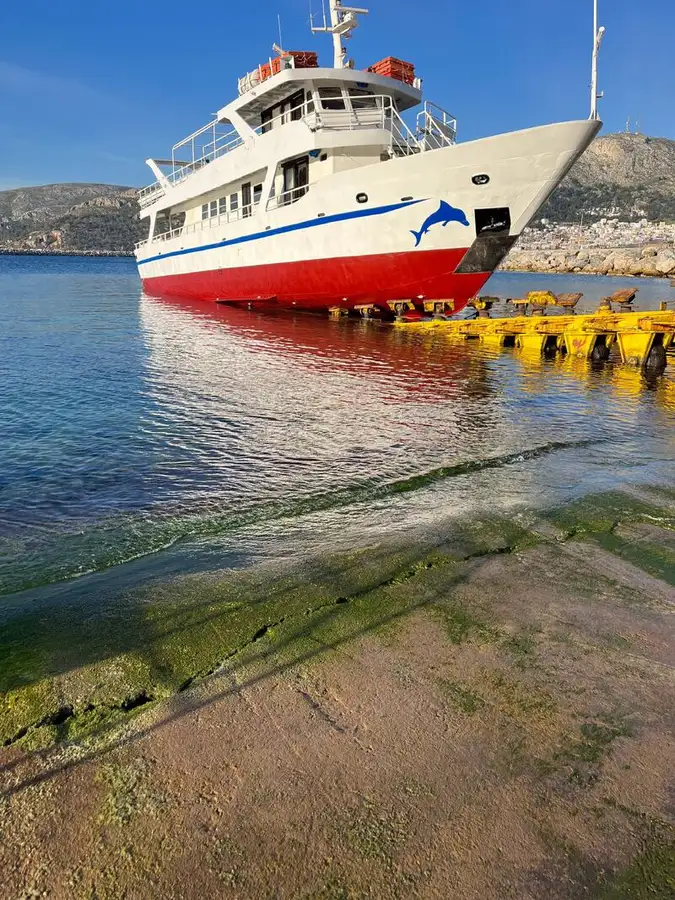 Nave da crociera in vendita