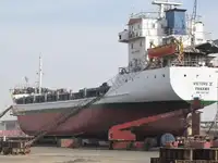 Trasportatore di merci sfuse in vendita