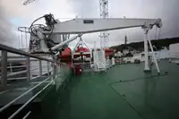 Trasportatore di merci sfuse in vendita