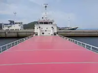 Trasportatore di merci sfuse in vendita