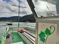 Nave da crociera in vendita