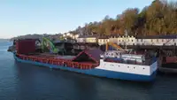 Trasportatore di merci sfuse in vendita