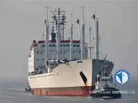 Nave refrigerata in vendita