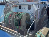 Trasportatore di pesce vivo in vendita