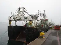 Peschereccio a strascico in vendita