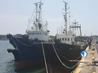 Peschereccio a strascico in vendita