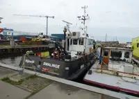 Barche da lavoro in vendita