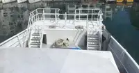 Catamarano in vendita